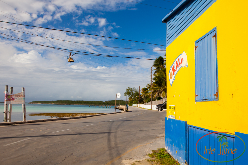 Kalik Pyfroms Eleuthera, Bahamas