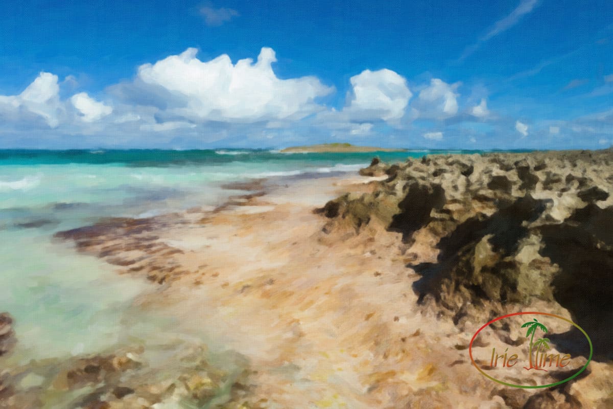 ©Wendy G. Gunderson - All Rights Reserved. Any use without express written permission is strictly prohibited.