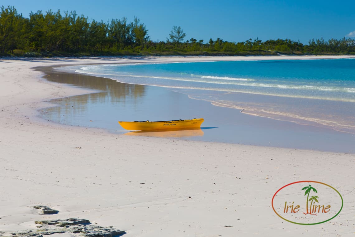 ©Wendy G. Gunderson - All Rights Reserved. Any use without express written permission is strictly prohibited.