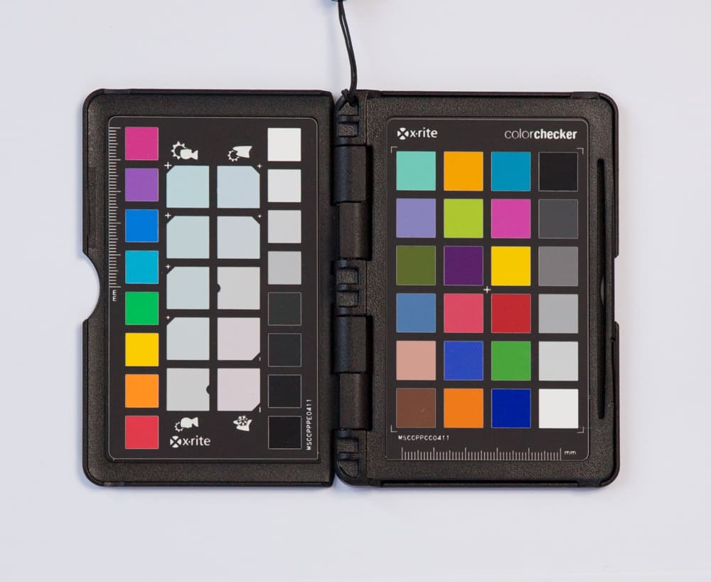 Is That Sand Really Pink?