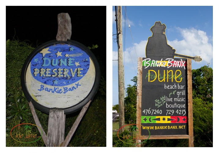 Dune Preserve, 2007 and 2014
