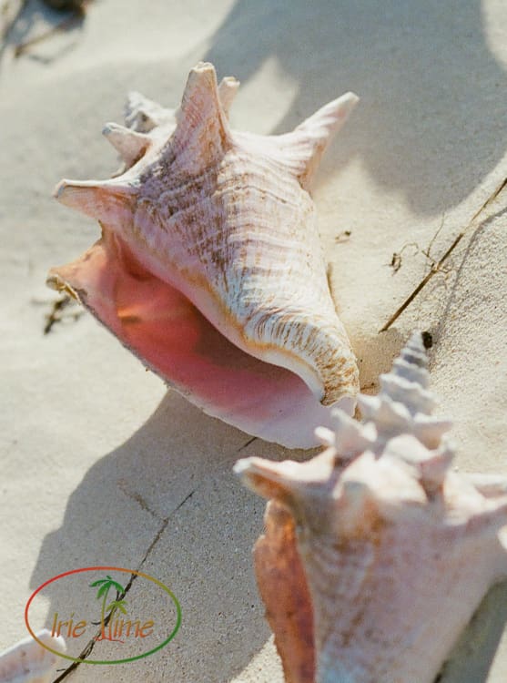 Rendezvous Bay, Anguilla