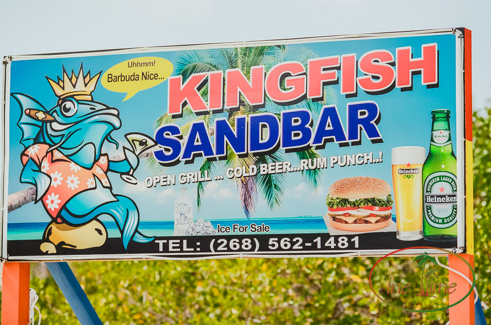 kingfish sandbar-1