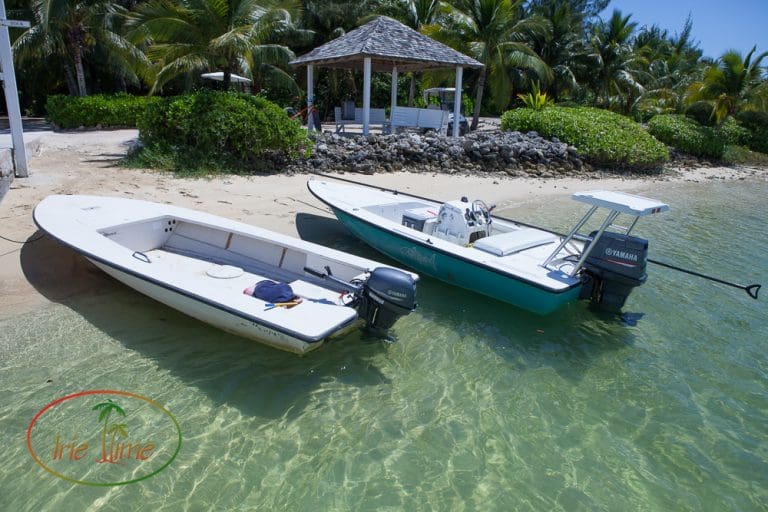 Bonefishing Andros Bahamas