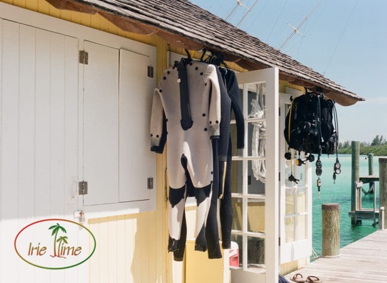 Snorkeling Diving Andros Bahamas