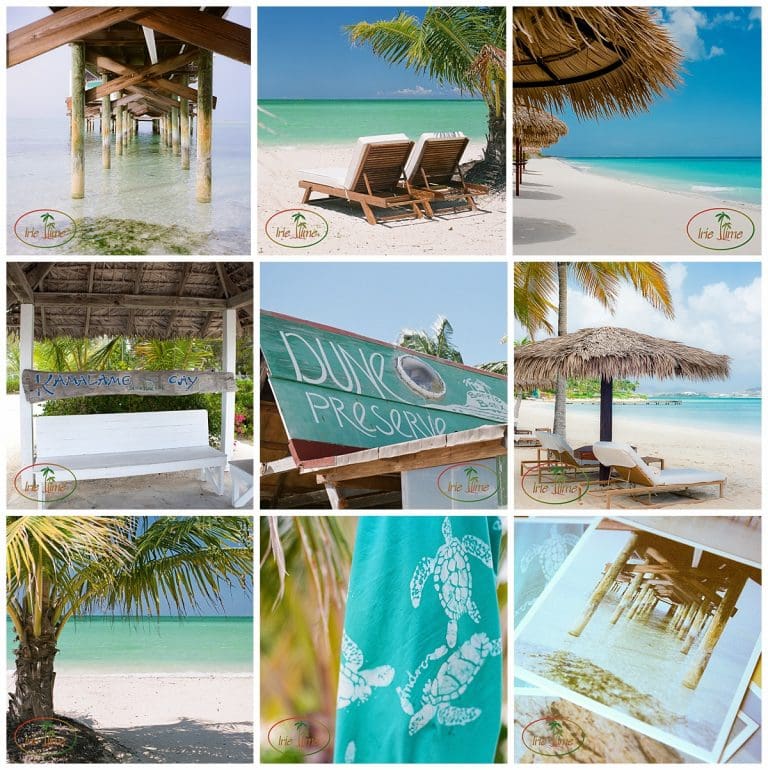 Instagram Best of 2016