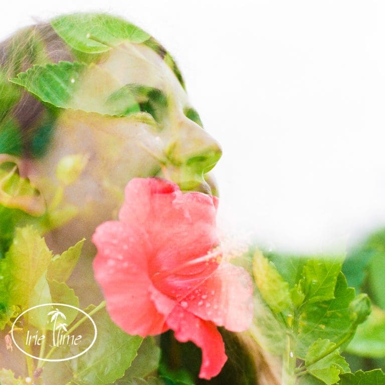 Film Photography: Nevis