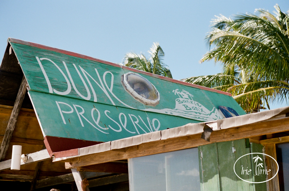 Dune Preserve, Anguilla, travel photography on film