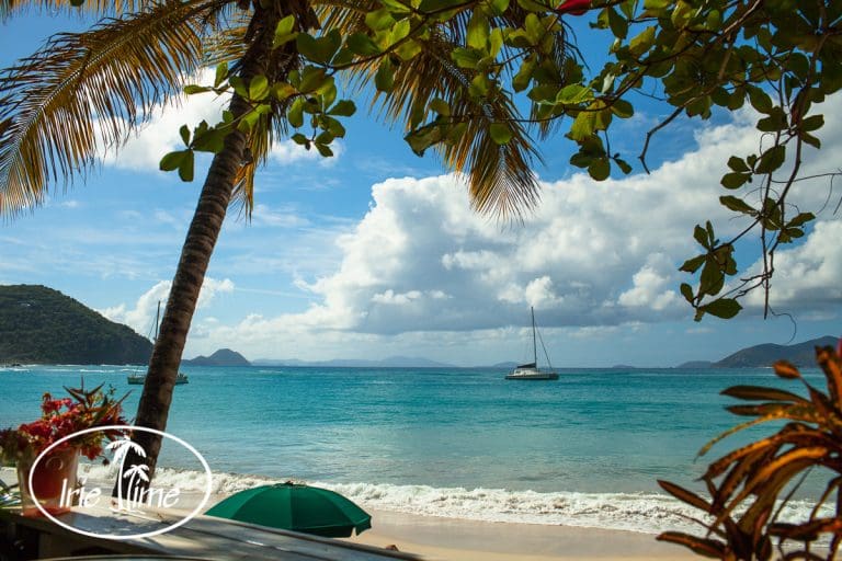 BVI Trip Report – THE VIDEO!