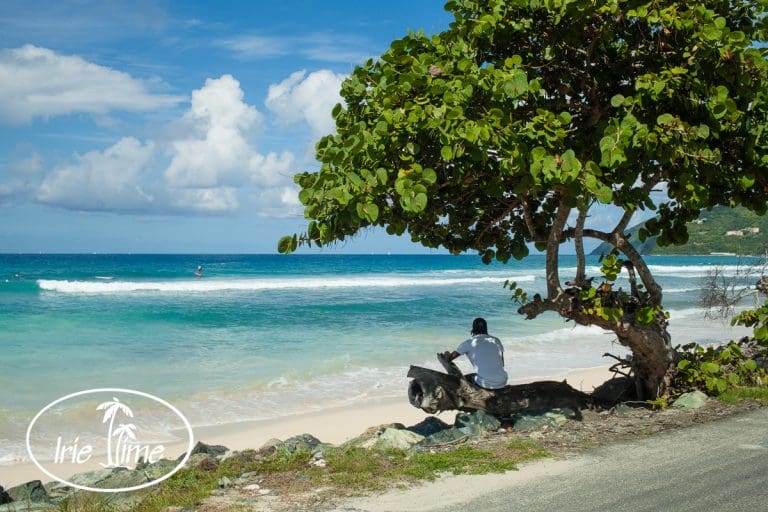 BVI Trip Report Part Three: Tortola and Beef Island