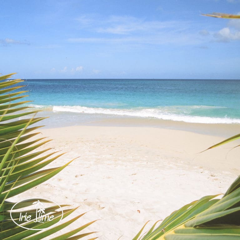 Planning Travel During the Pandemic