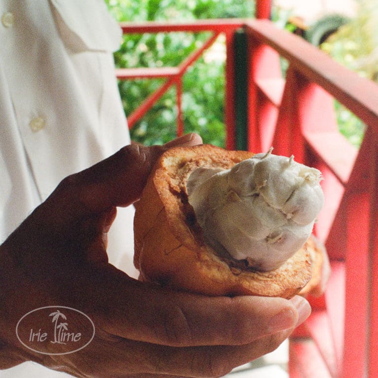 The Best of Grenada with Mandoo Tours