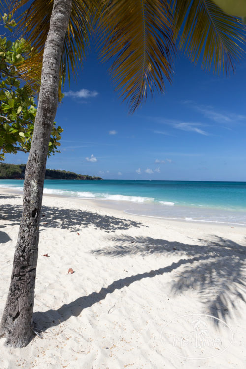 Grand Anse Beach Grenada