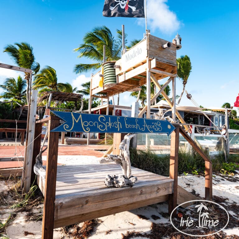 Dune Preserve Through the Years