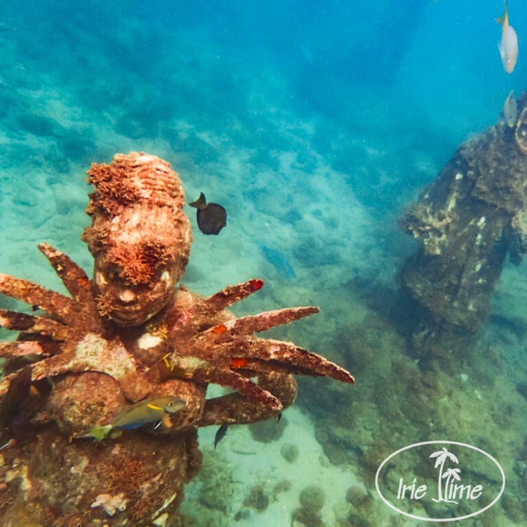 Snorkeling Trip on Bacchanal, Grenadines Sailing Escapade, Grenada