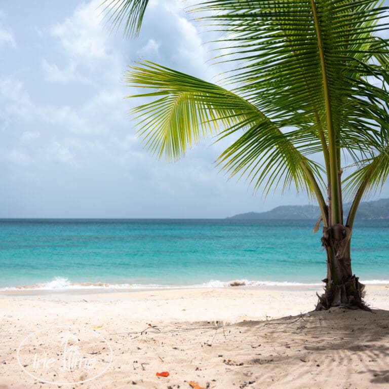 A Second Taste of Spice: Revisiting Spice Island Beach Resort, Grenada